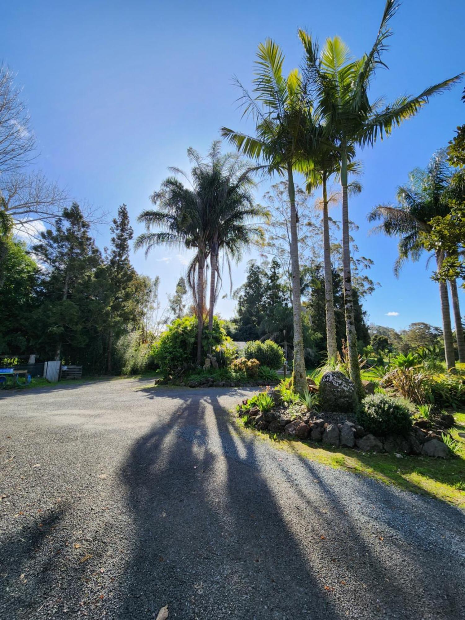 Bay Of Islands Holiday Park Paihia Bagian luar foto