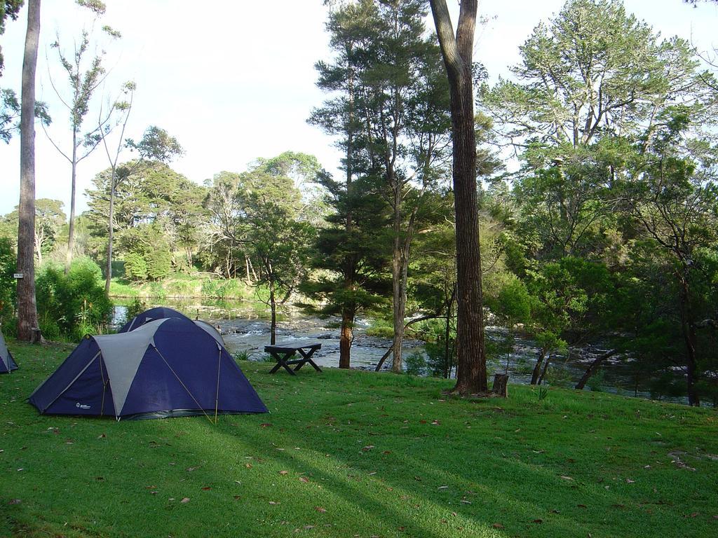 Bay Of Islands Holiday Park Paihia Bagian luar foto