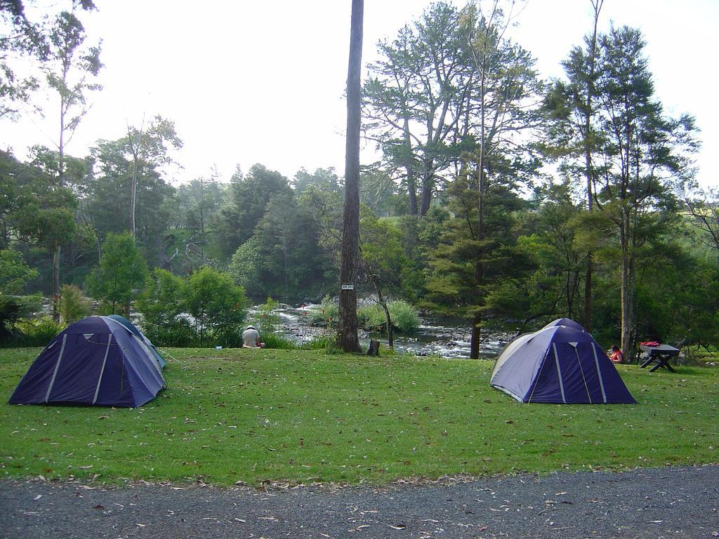 Bay Of Islands Holiday Park Paihia Bagian luar foto